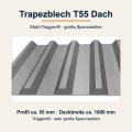 trapezblech-t55-dach-stahl-tragprofil-profil.jpg